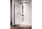 Перегородка для душа Walk-In Novellini Giada H, 60x195cm, стекло бесцветное, профиль серебряный