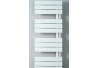 Радиатор Purmo Elato 60 x 143 cm - стандартный цвет белый