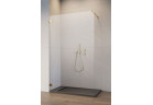 Двери для душа walk-in Radaway Essenza Pro Gold, 160x200cm, стекло бесцветное, profil золотой