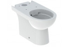 Geberit Selnova Напольный раковина WC do spłuczki nasadzanej, унитаз, 35.5x66cm, частично скрытый mocowania, перелив универсальный, Rimfree