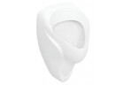 Geberit Alex Писсуар, 38x35cm, подача снизу, перелив do tyłu