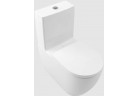Раковина WC унитаз Villeroy & Boch/Subway 3.0 - do WC kompaktu bez kołnierza wewnętrznego, напольный, wraz z TwistFlush, Weiss Alpin CeramicPlus