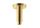 Держатель потолочные для верхнего душа Vema Otago,длина 10cm, brushed gold