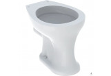 Напольный раковина WC с полкой, Geberit Bambini, белая