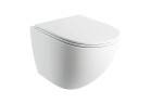 Раковина WC Omnires Ottawa Comfort 54x36,5 cm подвесной, bezkołnierzowa, с крышкой с микролифтом - белый мат.