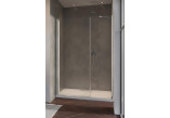 Двери для душа Radaway Nes KDS II 120, левые, 1200x2000mm, серебряный profil