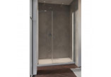 Двери для душа Radaway Nes KDS II 120, левые, 1200x2000mm, серебряный profil