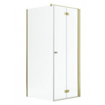 Двери для душа Radaway Nes Gold KDJ B 100, складные, левые, 1000x2000mm - стекло бесцветное, profil золотой глянец
