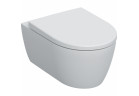 Набор wiszącej miski WC Geberit iCon, унитаз, скрытый mocowania, Rimfree, с сидением для унитаза - белый мат.
