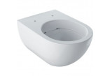 Раковина wc Geberit Acanto подвесной 53x35 cm, унитаз, скрытый mocowania, TurboFlush, с плёнкой KeraTect - белая