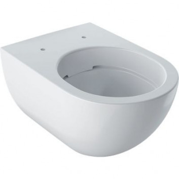 Раковина wc Geberit Acanto подвесной 53x35 cm, унитаз, скрытый mocowania, TurboFlush, с плёнкой KeraTect - белая