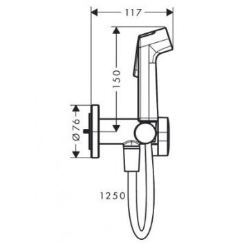 Душевая головка Hansgrohe Bidette 1 jet S EcoSmart dla wody zimnej с рычагом и шлангом душевым 125 cm - хром