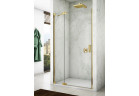 Двери для душа Ronal Cadura CA13 левые, 90x200 cm, одностворчатые со встроенными элементами w linii - стекло прозрачные, profil золотой