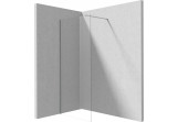 Перегородка для душа Deante Prozma walk-in 80x195 cm - стекло прозрачные, profil хромированная сталь