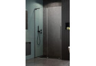 Двери для душа Radaway Furo SL DWJ Brushed GunMetal 110 cm, вариант левосторонний - стекло бесцветное, profil szczotkowany GunMetal