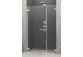 Двери для душа 100cm x 200cm со стенкой встроенной левые Radaway Arta DWS- sanitbuy.pl